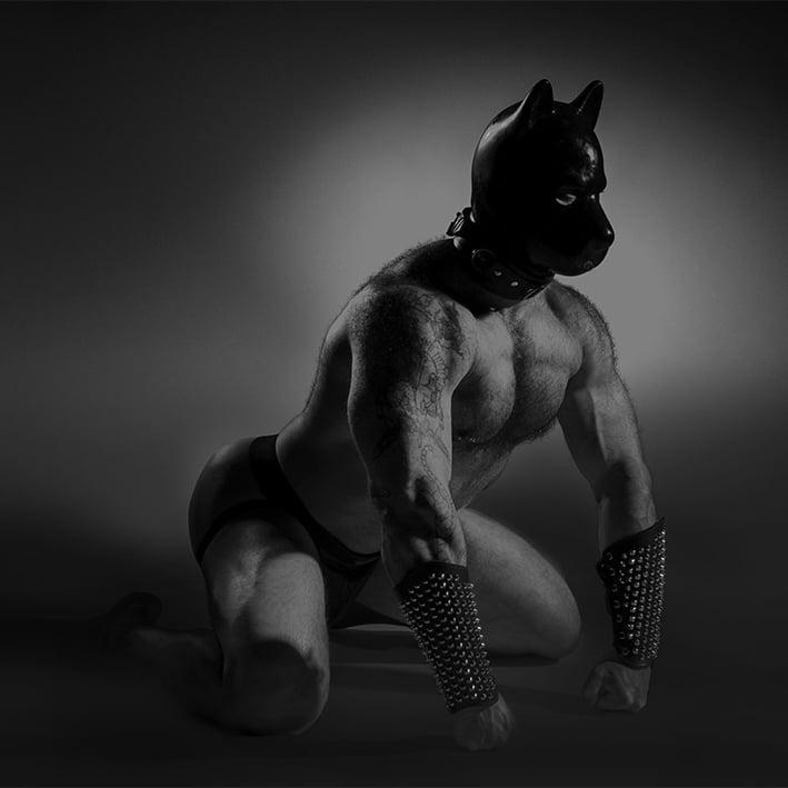 Pups: beloved in the kink community for their affection, loyalty, playfulness, and primal instincts, adding a dash of mischief to the mix.