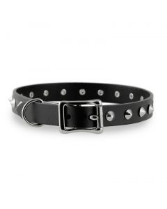 .75 Inch Studded Dog Collar