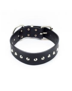 1.5 Inch Studded Dog Collar