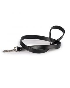 Leather Leash