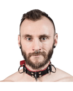 Leather Slave Collar 4 D-Rings by Mister B